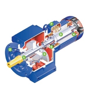 Bauer Gear Motor 齿轮电机 BG系列 - 30-../DPE09XB4C